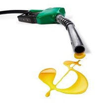gas_pump_dollar